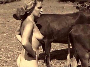Beastilty Taboo Vintage Porn 1960s - Best Antique XXX: Ancient porno videos straight from the vault - ATUBE.XXX